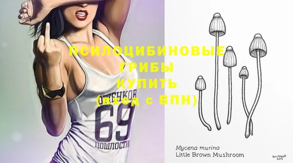 прущие грибы Краснослободск