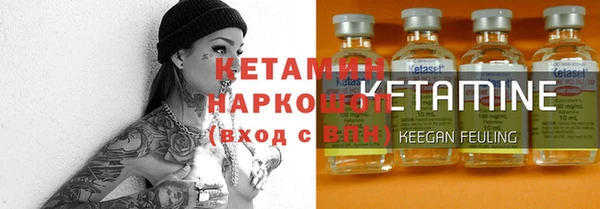 прущие грибы Краснослободск