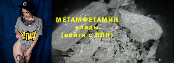 прущие грибы Краснослободск