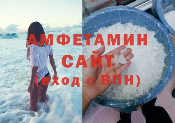 прущие грибы Краснослободск