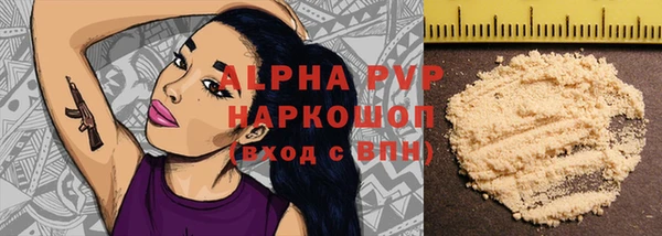 прущие грибы Краснослободск