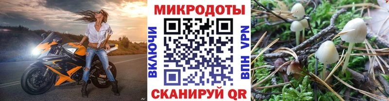 Купить  Лихославль  Псилоцибиновые грибы прущие грибы 